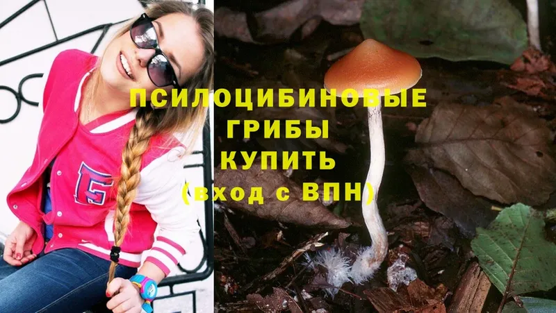 Псилоцибиновые грибы MAGIC MUSHROOMS  цена   Котельники 